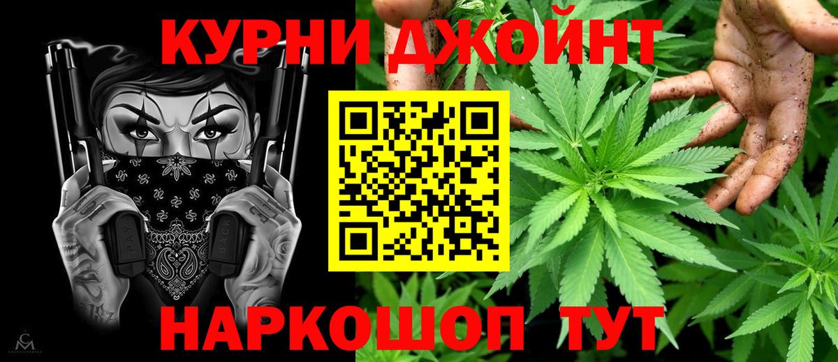 Бошки Шишки планчик Сызрань